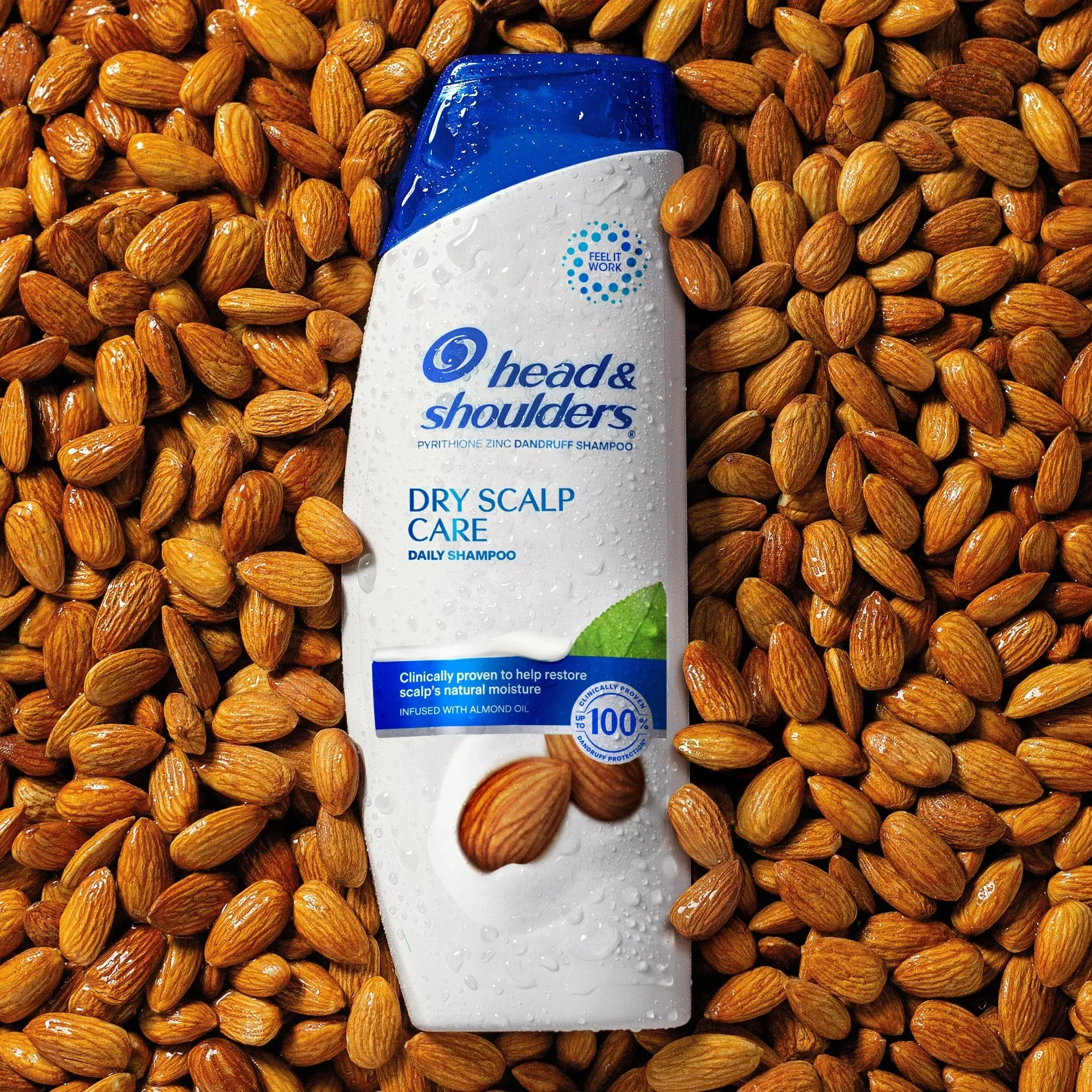 Head & Shoulders Dandruff Shampoo. Dry Scalp Care. 12.5 oz