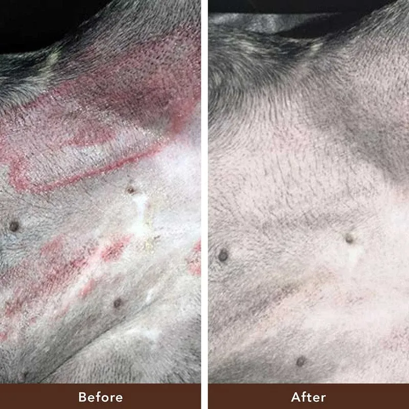 Natural Dog Company Skin Soother for Dogs